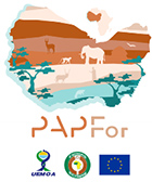 Logo PAPFor