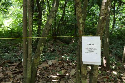 One of the natural pesticide test sites