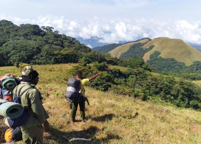 Okwangwo Division of Cross River National Park 