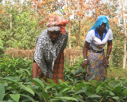 <multi>[fr] Aminata Ouédraogo et sa fille à la pépinière de Trantie Troti sur le site de Gahably [en] Aminata Ouédraogo and daughter at the Trantie Troti, Tree Nursery site Gahably</multi>
